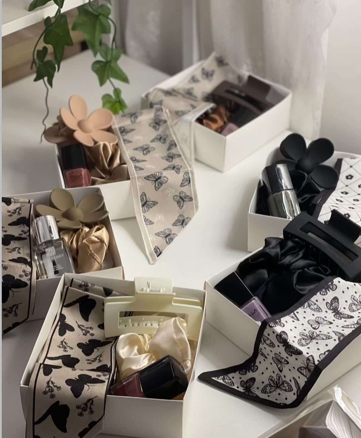 بوكس توزيعات لكبار